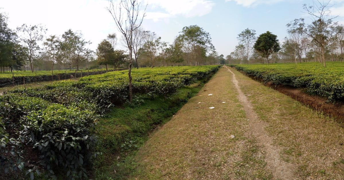 Dooars - Bhutan Rental and Travel Blog